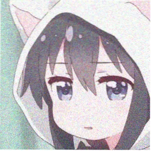 读者孟舟的头像