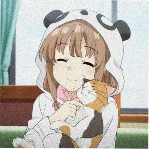 二次元追番用户头像